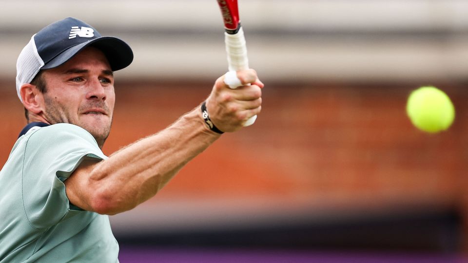 边翼卫与内 边翼卫与内